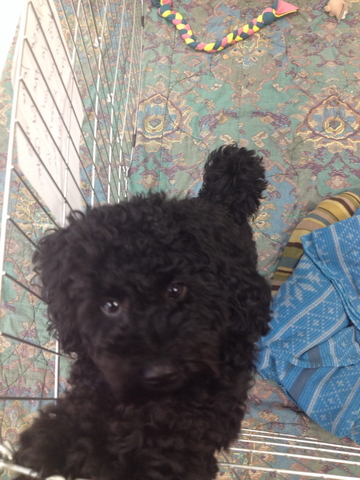 Tucker on the day Steve decided he was coming home